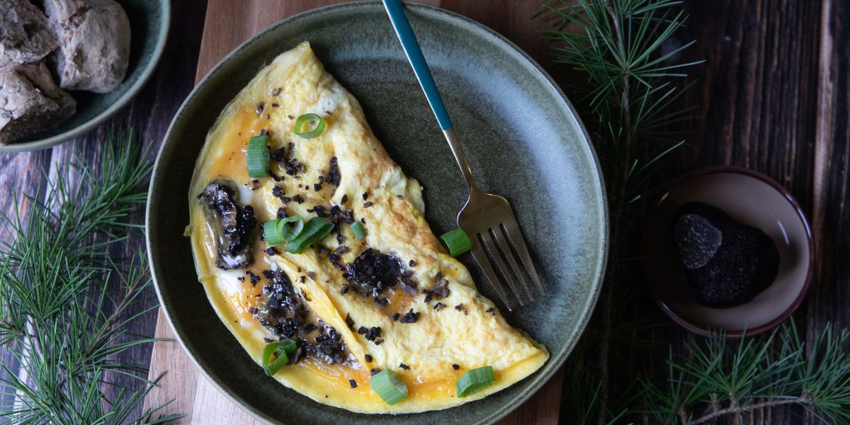 xr:d:DAETTIkBVoc:1537,j:7241077569943427459,t:24011215